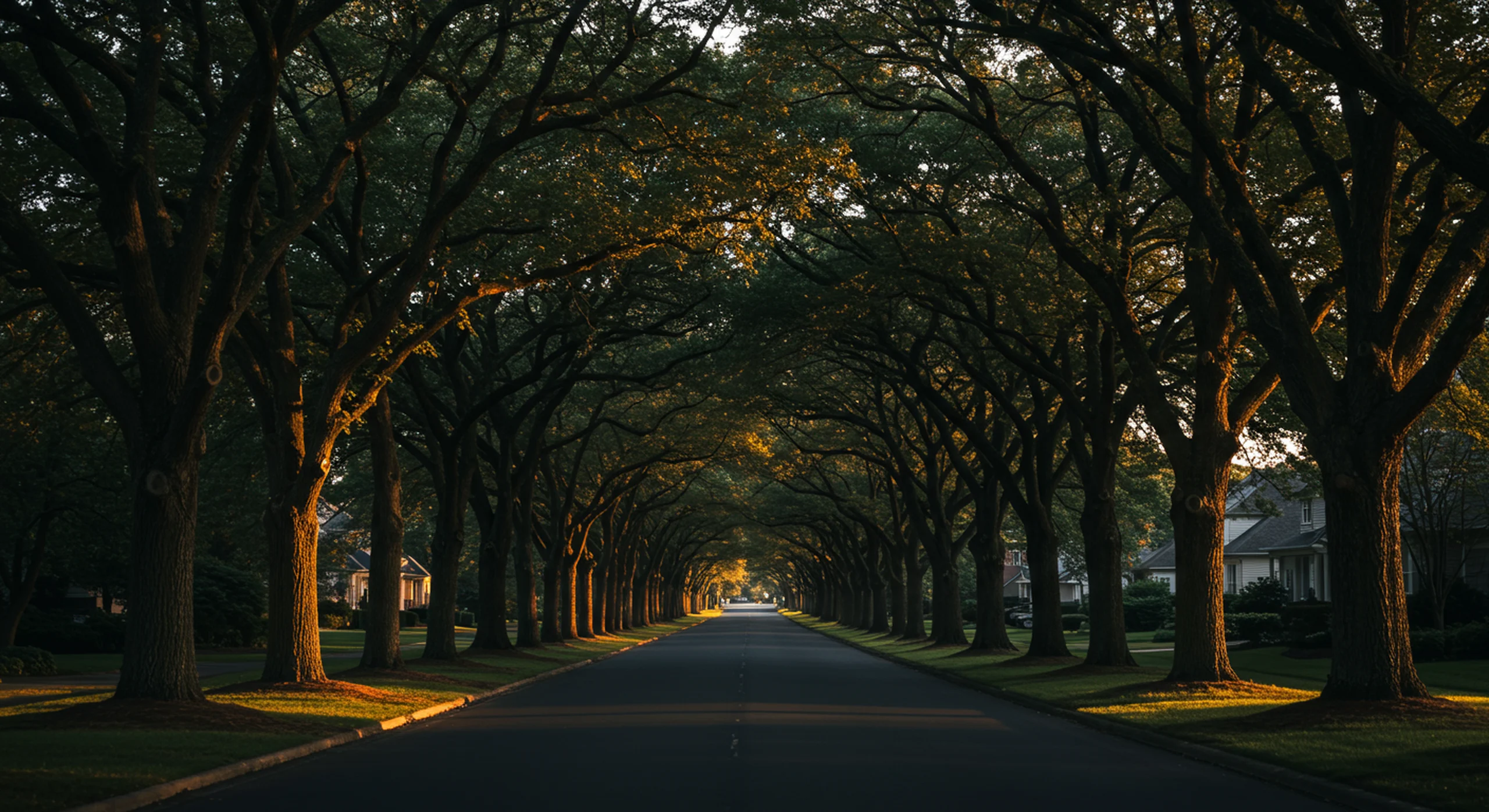 Suburban estate street at twilight