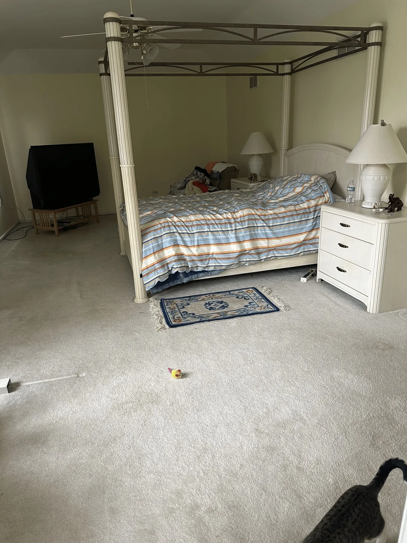 Primary suite at 8936 Charrington Drive
